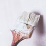 Paint Perfecta