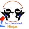 de schoonmaak ninjas