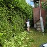 FastFix Cleaning