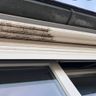 Brabant cleaning service&onderhoud