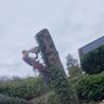 TreeONTop