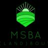 MSBA