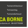 Erica-Borne