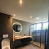 Bassi bouw