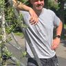 Reijnen renovaties