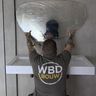 WBD Bouw