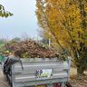 Np hovenier en bestrating
