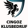 Cingoz klusbedrijf