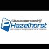 P. Hazelhorst