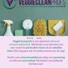 Veggiecleanprofs
