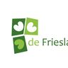 De Friesland hovenier