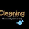 Cleaning for you Glazenwassersbedrijf