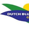 Dutch Blue Tech Group B.V.