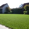 Gras Gemak
