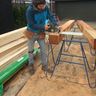 cocobolo