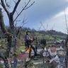 Gaia Boomverzorging