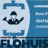 Flohuis