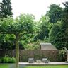 Werfhorst dienstverlening