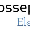 Vossepoel Elektra