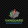 Vanguard Klussenbedrijf
