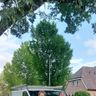 Glad Stucwerken