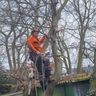 Poyé infra en groenvoorziening