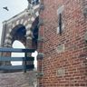 Voeg en restauratie bedrijf baggel