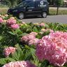 T. Verwoert dienstverlening