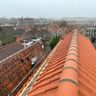 Zink & Onderhoudsbedrijf F. Hilario