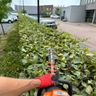 DrechtstedenGroenvoorziening