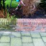 Diana Cleaning