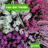 Van der Heide, bestrating, riolering en tuin