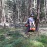 Van Dijk Bomen