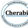Houtrot & Schilderwerken H. Cherabi
