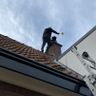 Multidiensten Heerde
