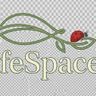Lifespace