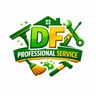 DF professional service