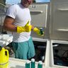 NPVA services