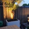 Passion for Gardens Tuinontwerp & Realisatie