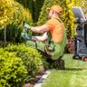Anda Garden en Multiservice