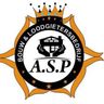 ASP Bouw & Loodgieter