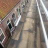 Rooftop Broers