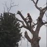 IJzergroene Projecten