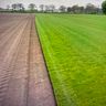 Graszoden Hoogeveen