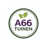 A66