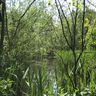 De Snoepjestuin