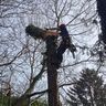 van Gunst Groencreaties V.O.F.