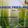 BBF Bamboe Friesland tuin & meer