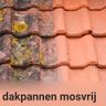 T de Vries dienstverlening