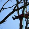 JvR Boom en Groen